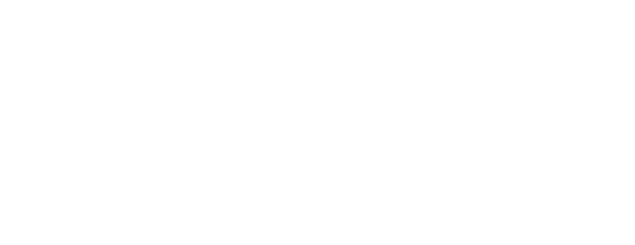 LUPA